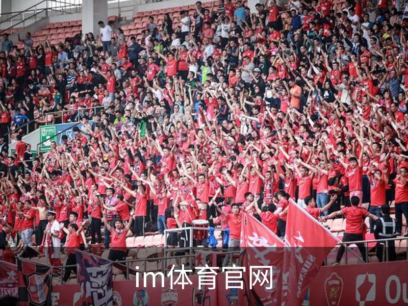 im体育官网概况